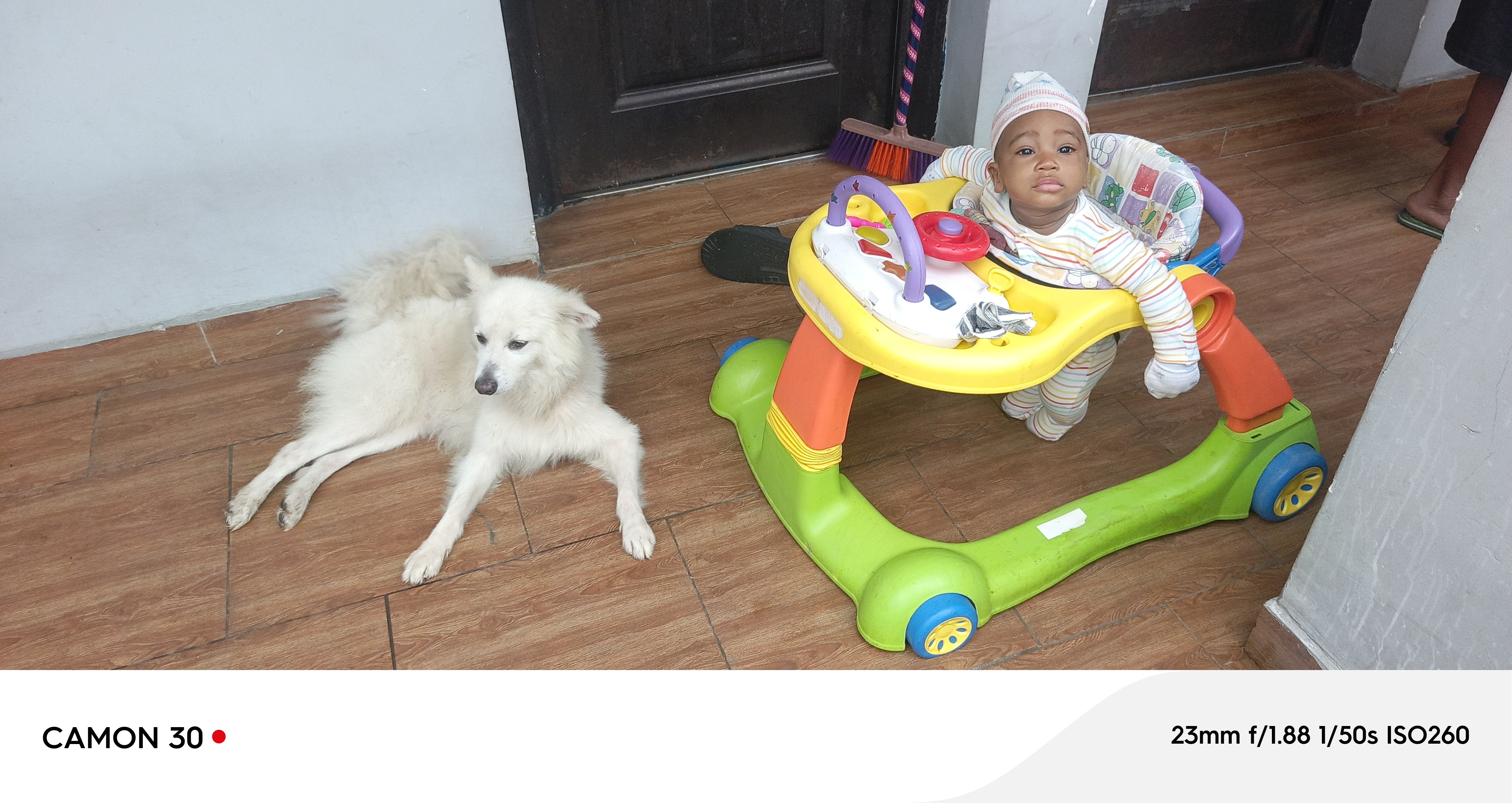 Chimchezulema Nyebuchi